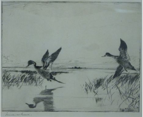 Frank W Benson (American 1862-1951) signed etching 'Pair of Pintails', plate size 20cm x 25cm