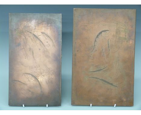 Two ex Royal Worcester copper printing plates depicting fish each marked Desserts and numbered 116, larger approx 32 x 20.5cm