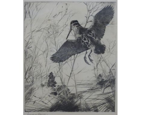 Frank W Benson (American 1862-1951) signed etching 'Woodcock', plate size 20cm x 25cm