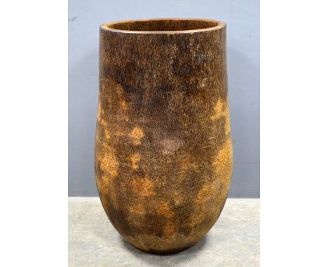 Large hollowed out palm trunk, diameter 102cm,