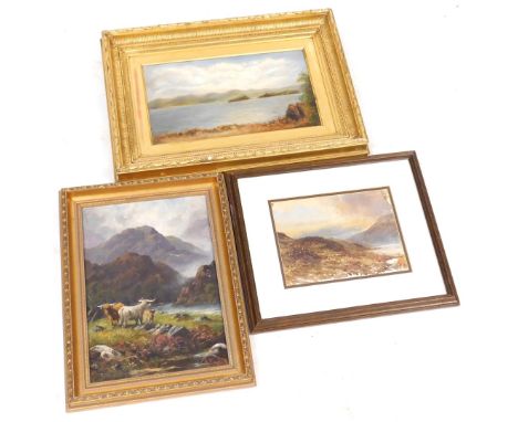 English School (19thC). Seascape with mountain beyond, oil on canvas, 19.5cm x 35cm, together with highland landscape with ca