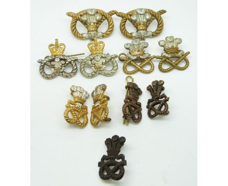 Eleven British Army North Staffordshire Regiment metal collar badges in five pairs plus one&nbsp;