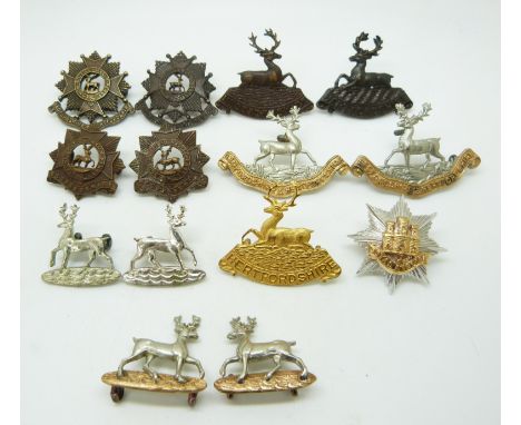 Fourteen British Army Bedfordshire Regiment, Hertfordshire Regiment etc. metal collar badges in six pairs plus two&nbsp;