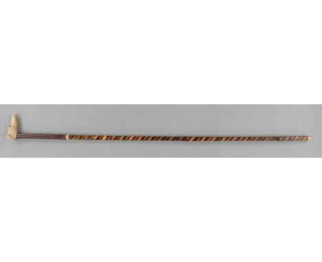 Bamboo swordstick with dogs head handle, snakeskin or similar grip and 55cm square blade