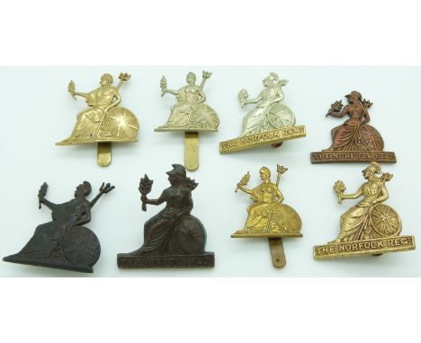 Eight British Army Norfolk Regiment metal cap badges