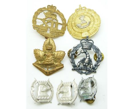 Seven Australian Army Launceston Regiment, North Western Victorian Regiment, Macquarie Regiment, 3rd Cavalry Regiment and the