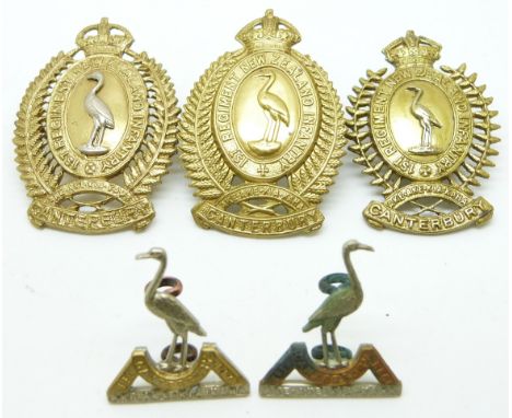 Five New Zealand Army 1st Canterbury Regiment metal cap and collar badges&nbsp;
