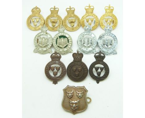 Thirteen British Army Shropshire Yeomanry and Northumberland Hussars metal collar badges in four pairs plus five