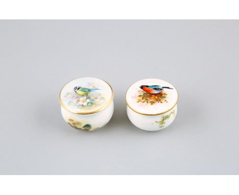 Pair Royal Worcester miniature pill pots and covers, decorated with hand painted blue tit and bullfinch, circ 1920s. 3.5cm di