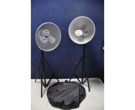 A PAIR OF BIP LIGHT CONTROL PHOTOGRAPHY LAMPS along with a Bip lighting 120cm light cube with colour background drops (PAT pa