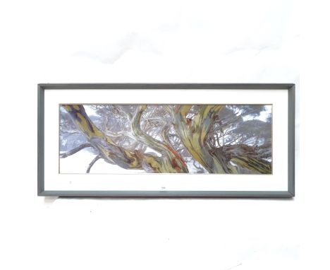 Michael Scott Lees - “Entangled in the mist”, coloured lithograph, study of “Snow Gums”, 24/500, framed, overall 59cm x 132cm