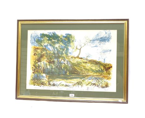 Malcolm Cameron, lithograph, water hole near Broken Hill, limited edition no. 10/53, pencil signed, framed, overall 65cm x 90