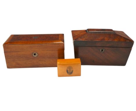 A Victorian burr veneered and cross banded walnut two compartment tea caddy together with a George IV sarcophagus form mahoga