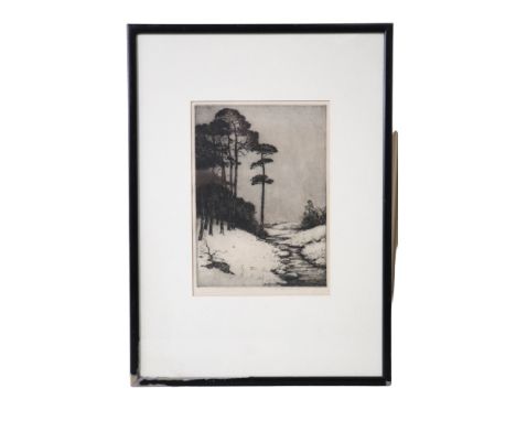 John George Mathieson (Scottish, exh 1918-1940) "Trees Doune", a rural study of towering pines beside a small stream, drypoin
