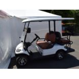 ICON Golf Cart