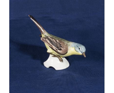 A Goebel yellow wagtail