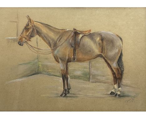 C Joane Bastard (20th century): Horse Portrait, pastel signed and dated 1931, 30cm x 42cm