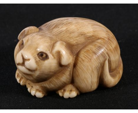 Early 20th Japanese ivory netsuke of an animal, 4cm, Taisho.