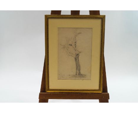 Cornelius Varley (1781-1873, Study of a tree in Hyde Park, pencil, signed and inscribed lower left, 36.5cm x 33cm Spink-Leger