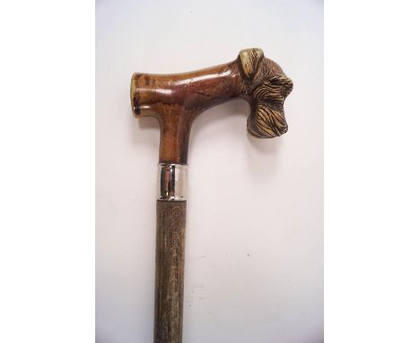 A novelty walking stick, the handle being the head of a dog