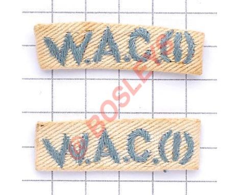 WW2 Pair Women's Auxiliary Corps India Naval Section embroidered Summer cloth titles A scarce example of white with light blu