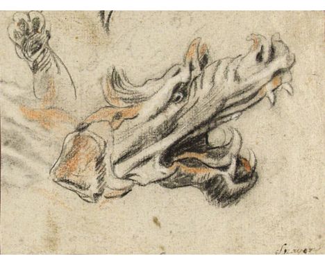 Artist: Pieter Snayers (Flemish, 1592 - 1667). Title: "Fanged Beast". Medium: Charcoal and color chalk drawing. Date: Compose