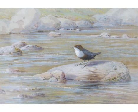 Donald Watson (Scottish, 1918 - 2015) Dipper on a Mid-Stream Boulder Signed and dated 1965, watercolour on board, 20cm x 36cm