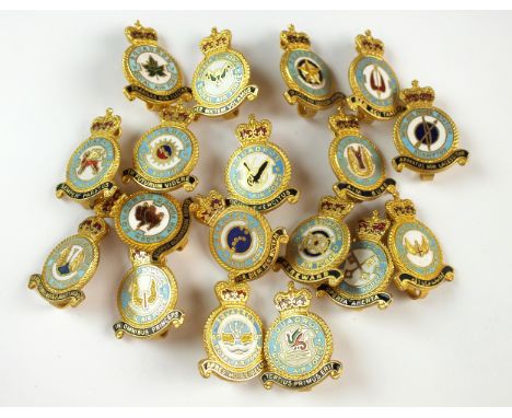 A collection of Royal Air Force Squadron association enamel and metal lapel badges various squadrons (18)