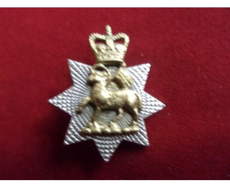 The Queen's Royal Surrey Regiment EIIR Cap Badge (Bi-metal), two lugs. K&amp;K: 2376.