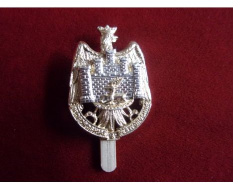 Bedfordshire and Hertfordshire Regiment Cap badge (Anodised), slider and made J.R. Gaunt. K&amp;K: 2385