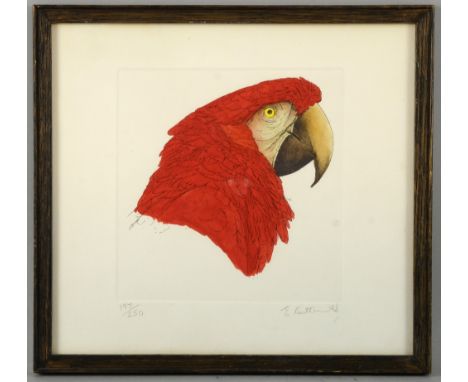 Elizabeth Butterworth, b. 1949,  'Scarlet Macaw', hand coloured etching, signed limited edition print, 197/250, 23.5cm x 26cm