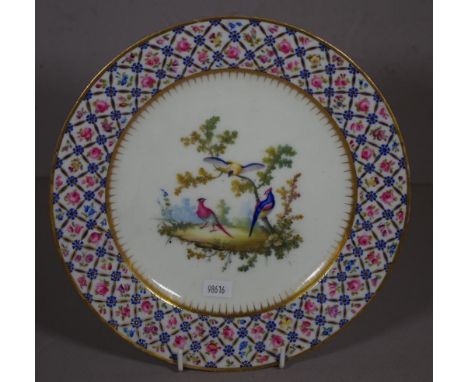 Good 18ct century Sevres cabinet plate decorated with birds, with decorative blue & red border. Ex Rosenberg Collection. 24cm