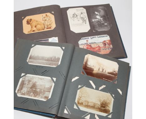 Blue postcard album containing Louis Wain cats and other comic examples together with another blue postcard album, sundry vie