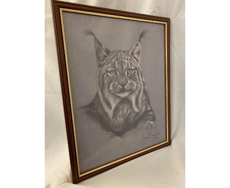 A FRAMED PRINT DEPICTING A LYNX BY JOAN BENCHE 