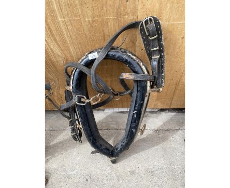 A VINTAGE HEAVY HORSE HEAD COLLAR 