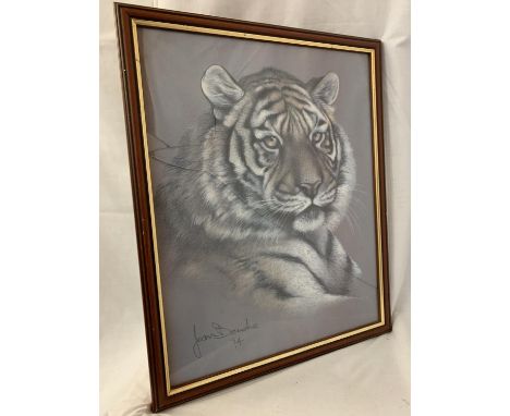 A FRAMED PRINT DEPICTING A TIGER BY JOAN BENCHE (GLASS A/F) 