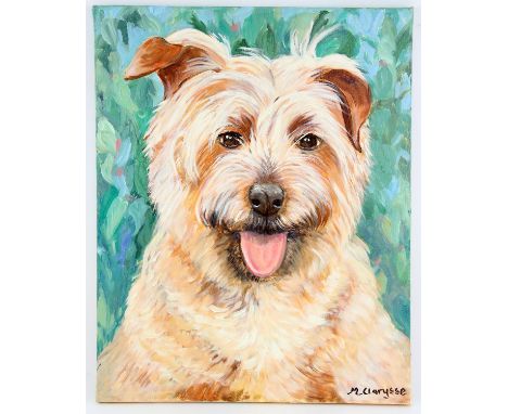 Maggy Clarysse. portrait of a dog. Oil on canvas. Signed lower right and verso. Image size 50.5 x 40.5cm. 