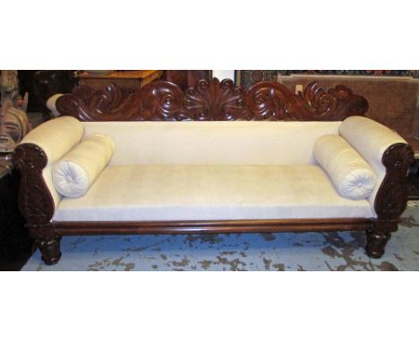 SOFA, William IV mahogany with a scrolled carved back and cream upholstery on short turned feet, 214cm L.