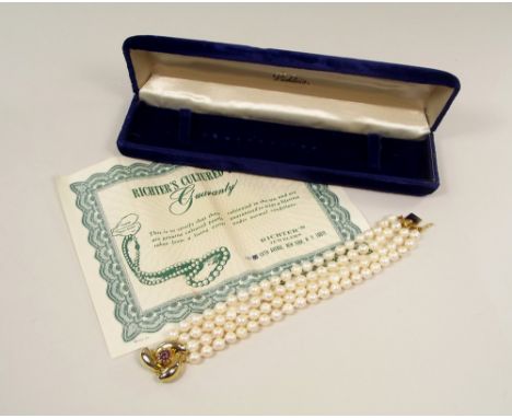 CULTURED PEARLS. A cultured pearl bracelet, with 14k. clasp, in fitted box &amp; with Richter's 5th Avenue, New York, guarant