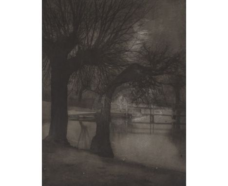 School of Edward Steichen, silver print photograph, nocturnal tree study, unsigned, 8" x 6.5", unframed
