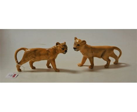 A pair of Beswick lion cubs, model No.2098, gloss finish