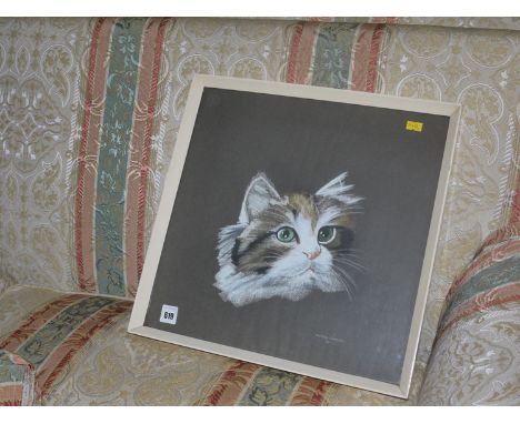 A pastel portrait of a kitten, by Peter Ward, signed.