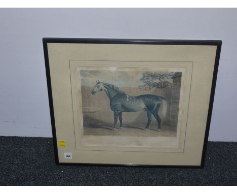 A 19th Century hand-coloured aquatint portrait of the horse "Greywigan Thorpe", published by Charles Thurnam for Fuller & Ack