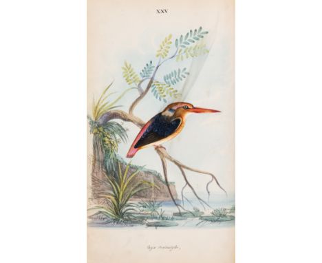 Birds.- India.- Jerdon (T. C.) Illustrations of Indian Ornithology, containing fifty figures of new, unfigured and interestin