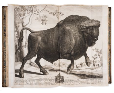 Caesar (Caius Julius) Quæ extant. Accuratissimè cum libris editis & MSS optimis collata, recognita & correcta, edited by Samu
