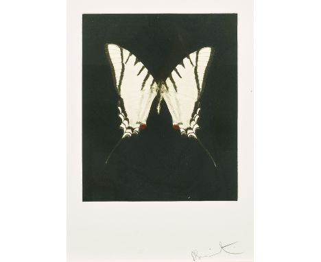 Damien Hirst (born 1965)Spirit, from Butterfly Series, 2009&nbsp;Etching in colors on wove paper, signed in pencil, numbered 