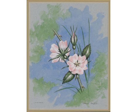 Stephen Gayford, British b.1954- Botanical illustrations, including Wild Rose; Variegated Iris; St. Bruno's Lily; Meadow Saff