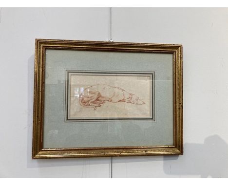 Attributed to Johan Elias Ridinger (1698-1767): A framed and glazed drawing in red ink of a Greyhound sleeping.  Unsigned wor