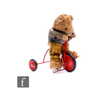 A Chiltern Toys 1950s / 60s pull along bear on a tinplate trike, retains tag to body with number 2/435/1, with string still a