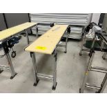DORMER SERIES 2200 MOTORIZED BELT CONVEYOR, APPROX. 16"W